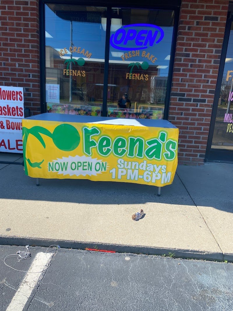 Feena